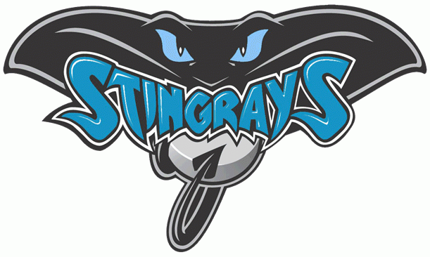 Hull Stingrays 2006-2015 Primary Logo iron on transfers for T-shirts